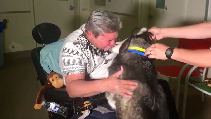 Niepełnosprawny mężczyzna po długiej rozłące w końcu odzyskuje swojego psa. Co za spotkanie…