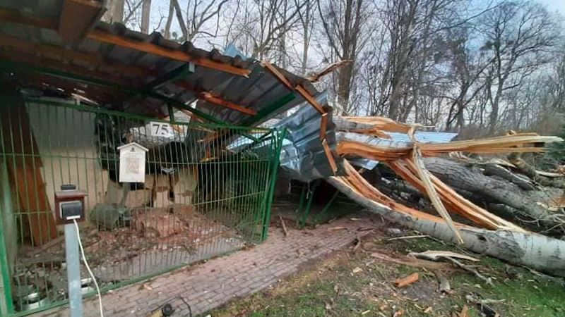 Huragan Eunice zdewastował schronisko w Toruniu. Zdjęcia mrożą krew w żyłach