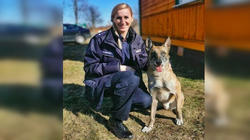 Policjantka z Charkowa uciekła do Polski. Zabrała ze sobą dwa psy oraz sześć kotów