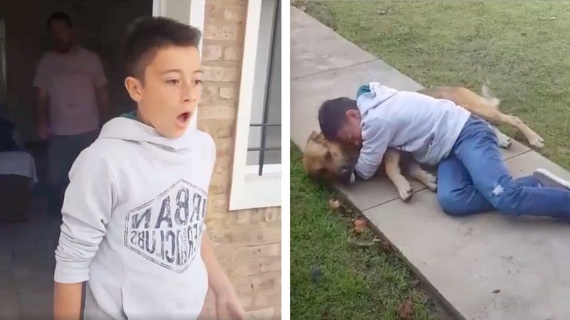 Chłopiec odzyskuje swojego ukochanego psa, który zaginął 8 miesięcy temu. Łzy same lecą!