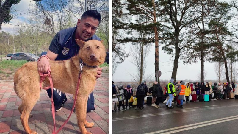 Brytyjczyk, który odmówił opuszczenia Ukrainy bez swojego psa, przekracza granicę pieszo