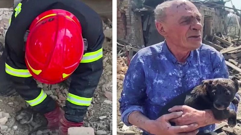 Udało się wyciągnąć małego szczeniaka spod gruzów zbombardowanego domu we wschodniej Ukrainie