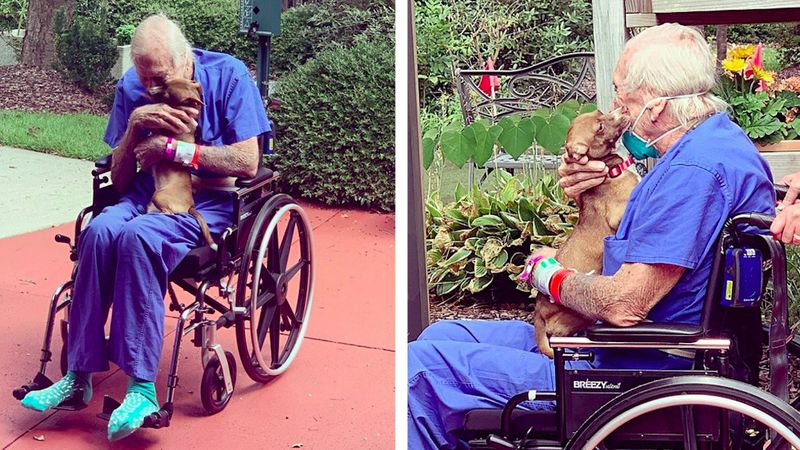 Weteran marynarki wojennej ponownie spotyka się z psem, który uratował mu życie po udarze mózgu