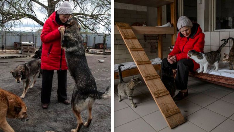 77-letnia Ukrainka ryzykuje własne życie, aby chronić ponad 700 zwierząt, w tym lwa