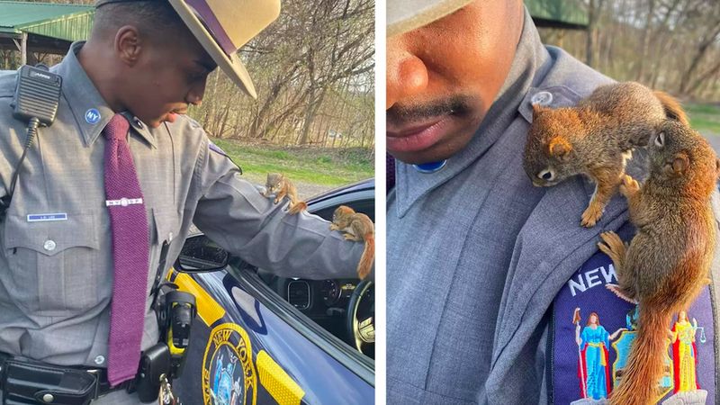 Policjant dostrzega małe wiewiórki na środku drogi, a wkrótce zdobywa dwie nowe przyjaciółki