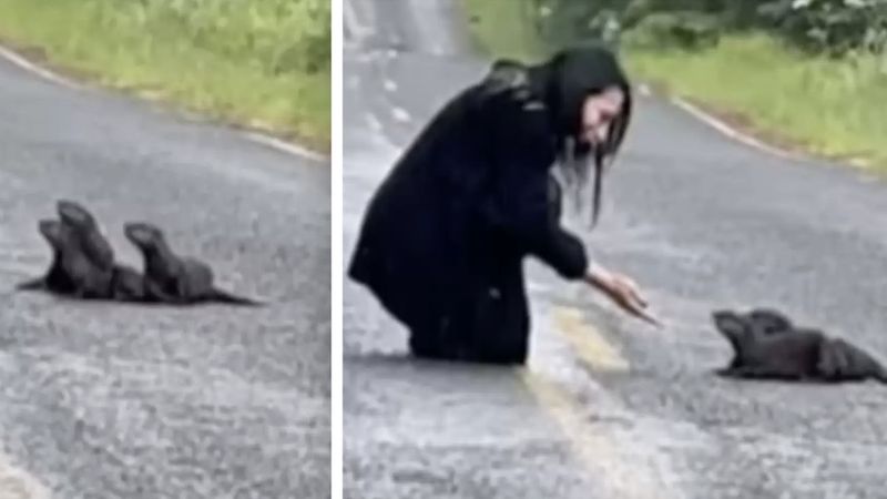 Kobieta zauważa futrzaną kępkę na drodze. Gdy podeszła bliżej, zamarła