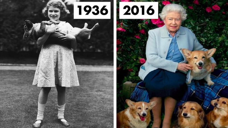 Wzruszające zdjęcia, które ukazują ogromną miłość królowej Elżbiety II do psów corgi