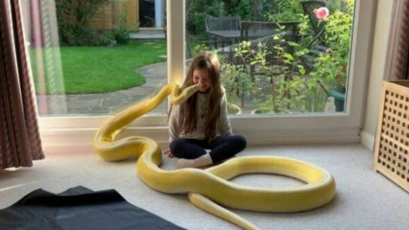 Dziewczynka dorastała z 5 m wężem! Ojciec pozwalał jej na dziwne zabawy z „pupilem”