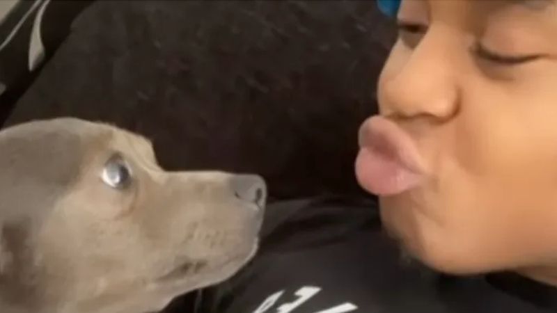Chłopak chce dać buziaka swojemu psu, ale nie spodziewał się takiej rekacji pupila!