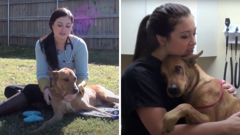 Uratowali psa przed eutanazją! Pies wtulał się w nim bez pamięci, szczęśliwy, że żyje!