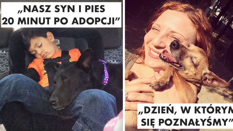 27 zdjęć z pierwszego spotkania psów z ich właścicielami. Pokazują, jak ważna jest adopcja