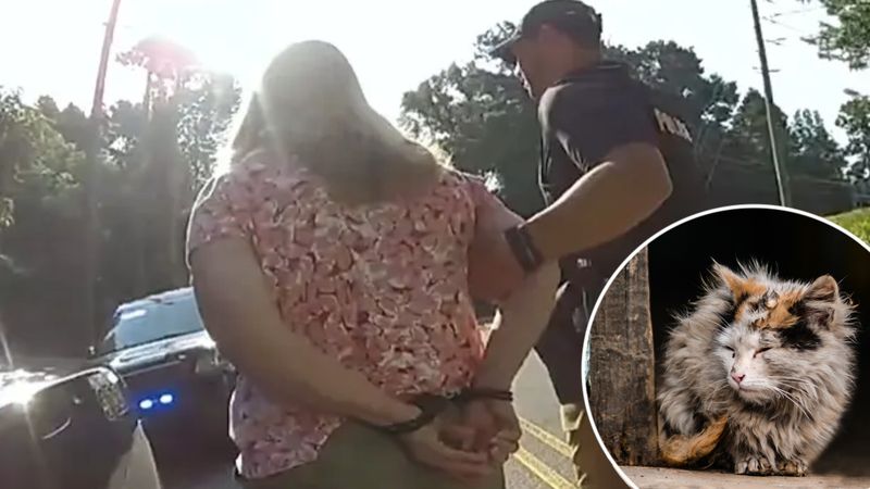 Dwie kobiety skazane za pomaganie bezdomnym kotom. „Wiele razy je ostrzegaliśmy”