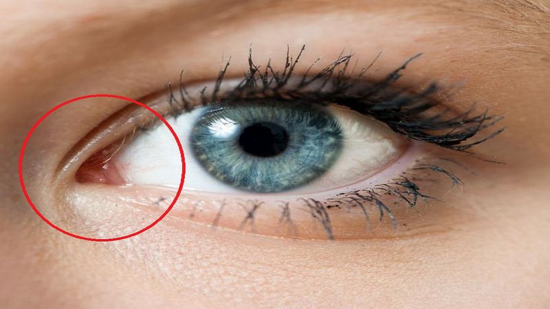 Jeśli kiedykolwiek zastanawialiście się po co nam wewnętrzny kącik oka, odpowiedź może zaskoczyć