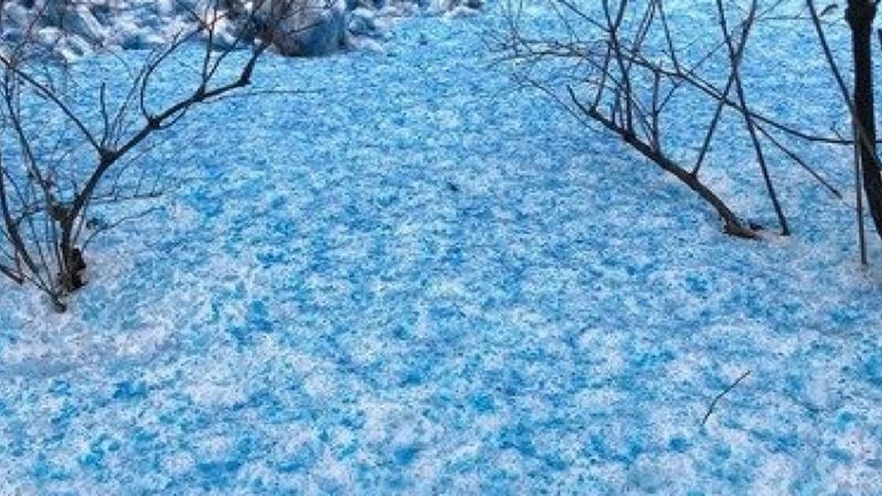 Ku zaskoczeniu mieszkańców, w Petersburgu spadł niebieski śnieg