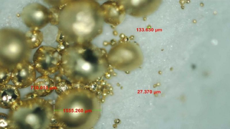 Odchody tego niesamowitego mikroorganizmu są w 100% ze złota!