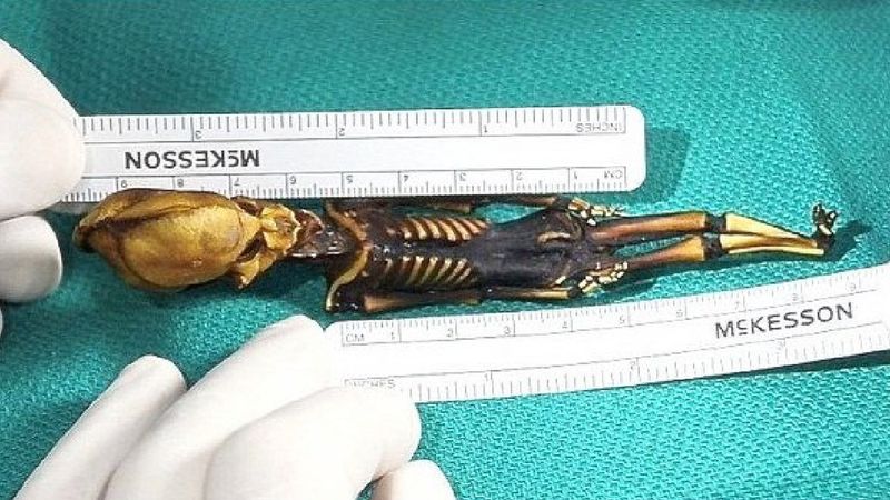 Tajemnica zdeformowanego szkieletu znalezionego na pustyni Atacama w końcu została rozwiązana