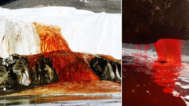W końcu odkryto zagadkę skrywającą się za krwistoczerwonymi wodospadami na Antarktydzie