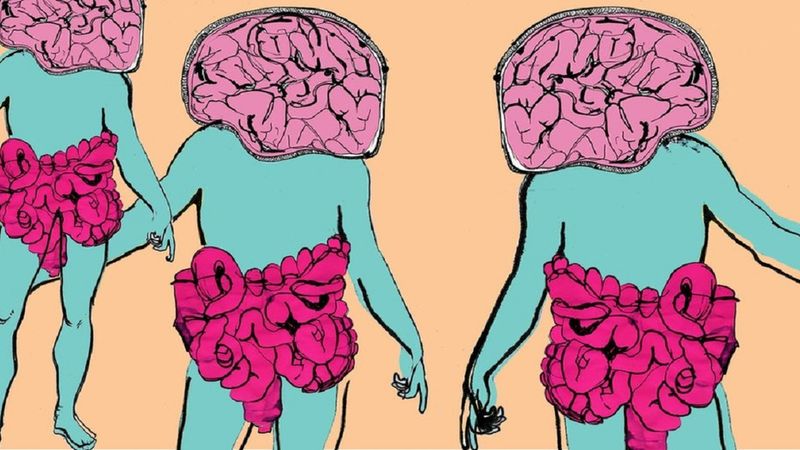 W naszym ciele rzeczywiście znajduje się „drugi mózg”. Jelita naprawdę mają własny umysł