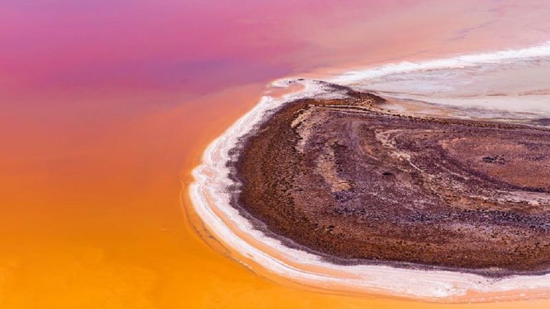 Rzadki widok znikającego jeziora Eyre oczaruje cię barwami. Tutaj powódź jest piękna