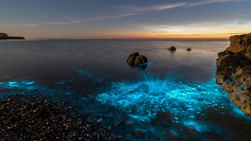 Mieszkańcom walijskiej wyspy ukazał się magiczny widok – woda zaczęła migotać niebieskim blaskiem