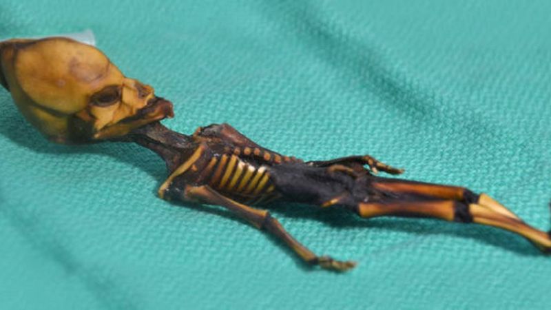Ustalenia dotyczące tajemniczego szkieletu znalezionego na pustyni Atacama okazują się błędne
