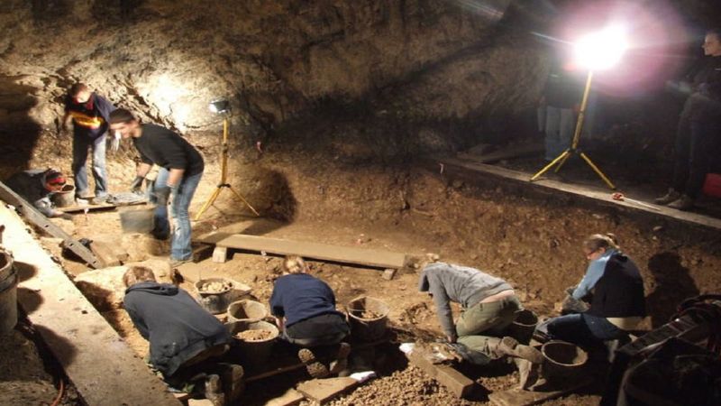 Pod Krakowem odkryto kości neandertalczyka. Chłopiec został zjedzony przez gigantycznego ptaka