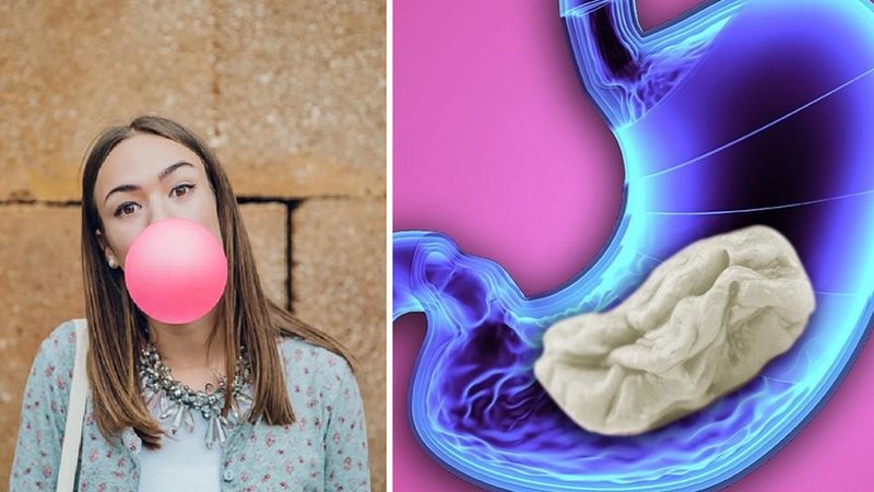 Co się faktycznie dzieje w twoim żołądku, kiedy zdarzy ci się połknąć gumę do żucia