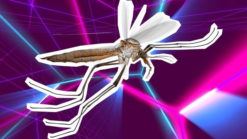 Osobliwe badanie sugeruje, że muzyka elektroniczna skutecznie odstrasza komary
