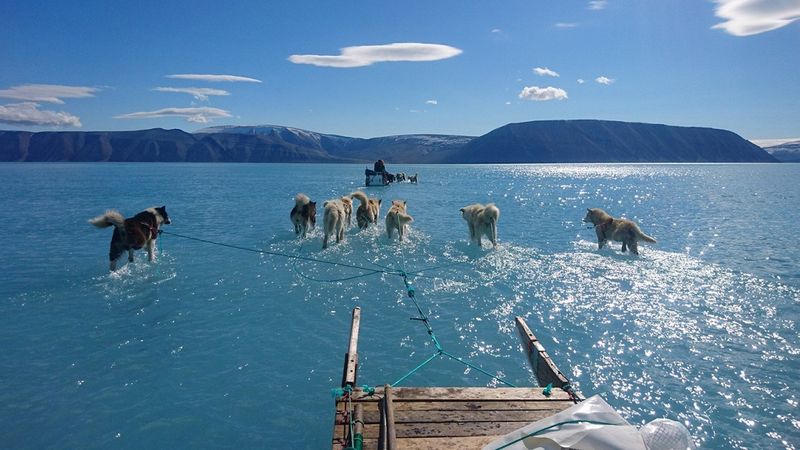 Rekordowe topnienie lodowców na Grenlandii. Jedna fotografia uświadamia skalę zjawiska