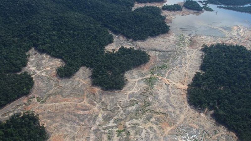 Amazonia osiąga punkt krytyczny. Płuca planety mogą zamienić się w martwą pustynię