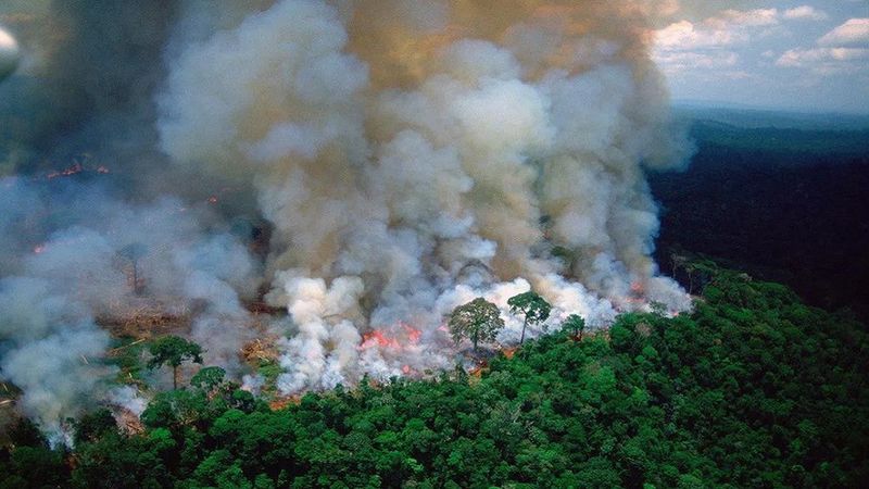 Zdjęcia satelitarne ukazują fatalną sytuację w Amazonii. Już mówimy o międzynarodowym kryzysie