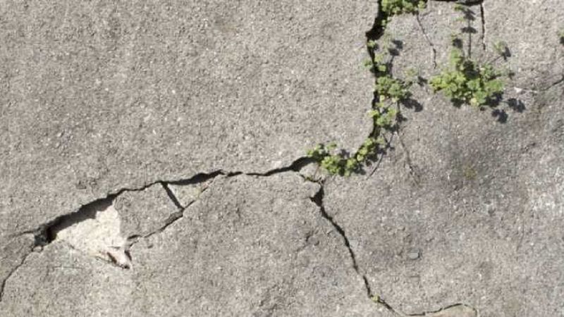 Naukowcy opracowali „żywy beton”. Materiał jest w stanie samodzielnie się zregenerować