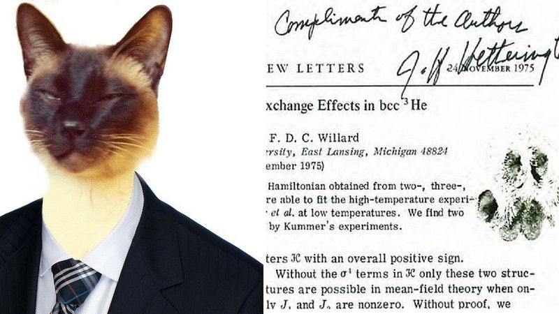 W 1975 roku kot Chester został współautorem bardzo poważnej pracy akademickiej z fizyki