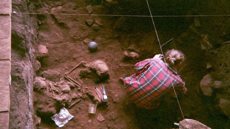 DNA starożytnych szczątków znalezionych w Afryce ujawnia pierwszy rozdział w historii ludzkości