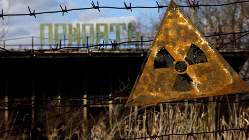 Grzyby pochłaniające radioaktywne promieniowanie kwitną na ścianach reaktorów w Czarnobylu