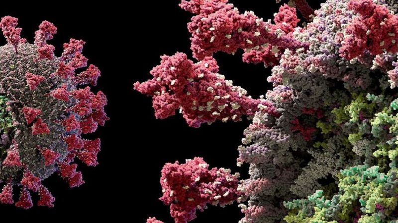 Zobacz oszałamiające szczegóły SARS-CoV-2 dzięki wizualizacji 3D koronawirusa