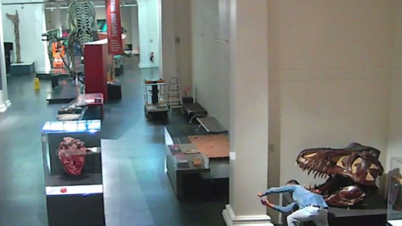Mężczyzna włamał się do muzeum. Czas spędził na podziwianiu wystaw i robieniu selfie z eksponatami