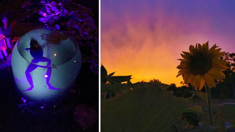 18 fantastycznych zdjęć, które pokazują, że Matka Natura zawsze czymś nas zaskoczy
