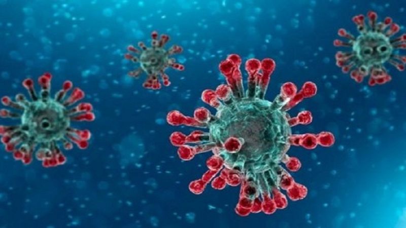 W Japonii i Kambodży wykryto dwa wirusy blisko spokrewnione z SARS-CoV-2 wywołującym COVID-19