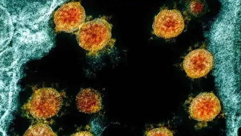 Mutacja koronawirusa umożliwiła szybsze rozprzestrzenienie się. Nie wszystkie wieści są jednak złe