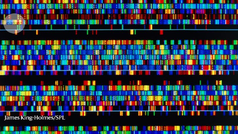 Naukowcy twierdzą, że po raz pierwszy w historii cały ludzki genom został zsekwencjonowany