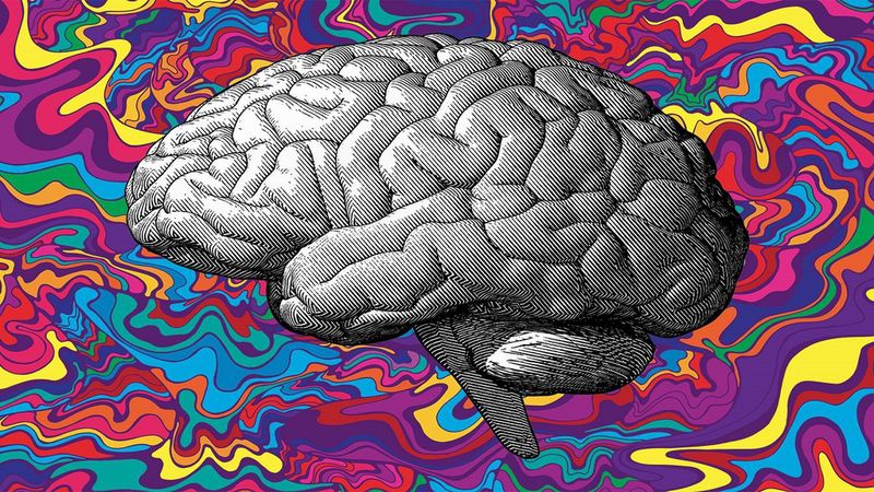 Co się dzieje w naszym mózgu, gdy człowiek weźmie psychodeliki?