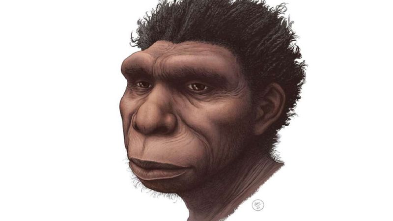 Poznaj Homo Bodoensis, czyli naszego bezpośredniego przodka