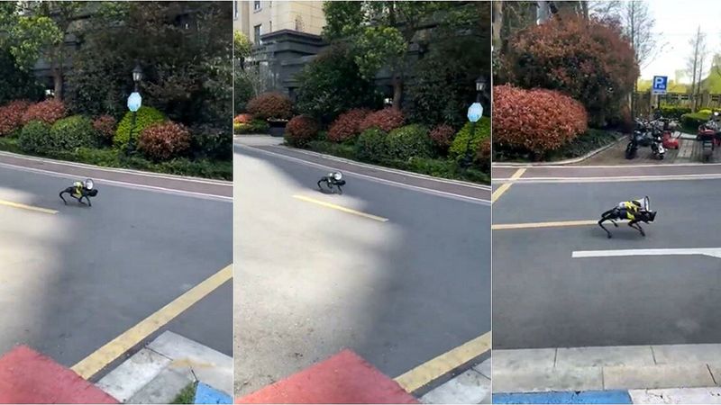 Dystopijne ograniczenia w Szanghaju jak z Black Mirror. Drony i roboty pilnują mieszkańców