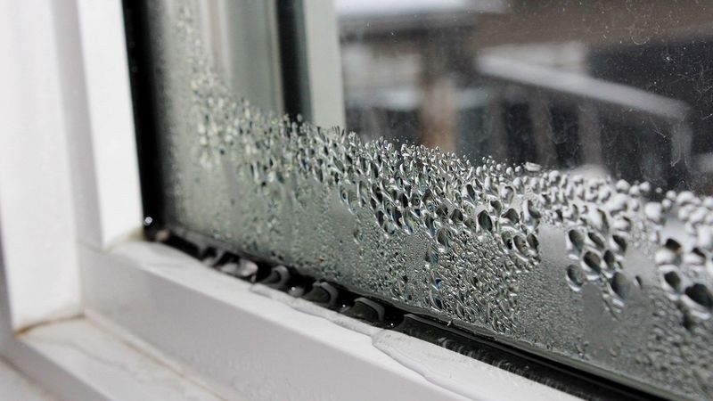 Jak sobie radzić z mokrymi i zaparowanymi oknami? Skuteczne sposoby, które rozwiążą problem