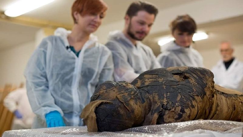 Twarz mumii „Tajemniczej Damy” została przywrócona przez polski zespól naukowców