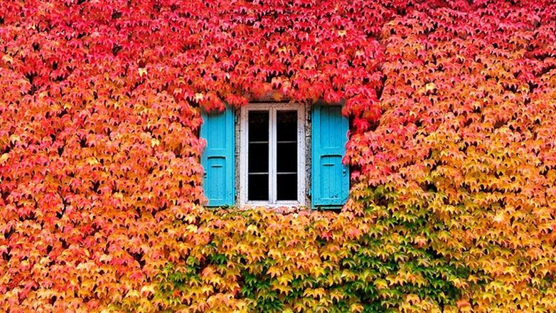 20 jesiennych zdjęć, które zainspirują Cię do tego, aby chwycić za aparat! PIĘKNIE!