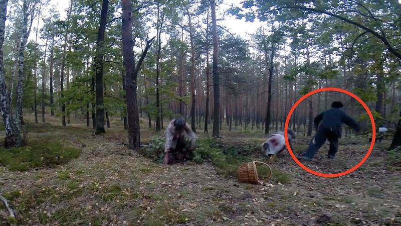Poszedł do lasu na grzyby w okolicach Warszawy. To, co go tam spotkało jest zaskakujące!