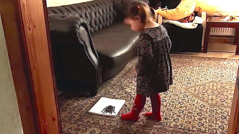 Jego córka chciała nadepnąć na olbrzymiego pająka na podłodze. Kiedy tupnęła nogą, zaniemówiłam