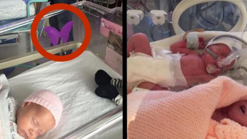 Stracili jedno dziecko podczas porodu. Na łóżeczku dziecka, które przeżyło pojawia się fioletowy motyl. Po co?